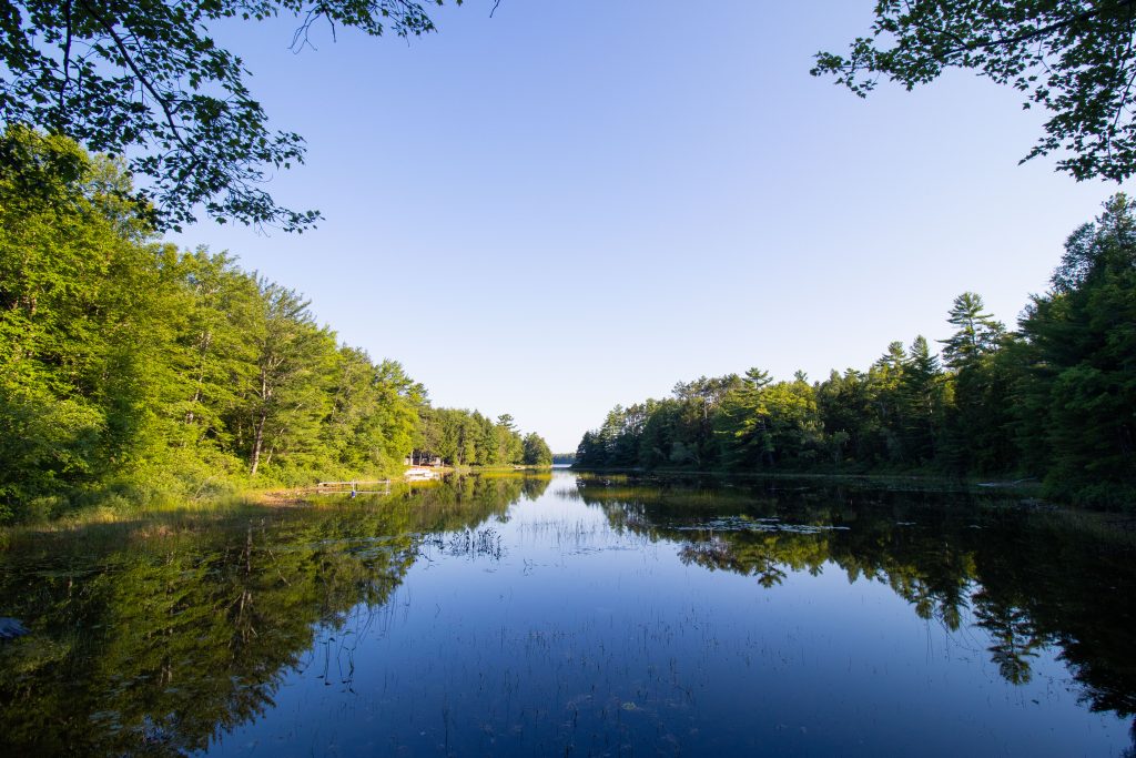 photo of a pond on the border of the Town of Clifton Maine
